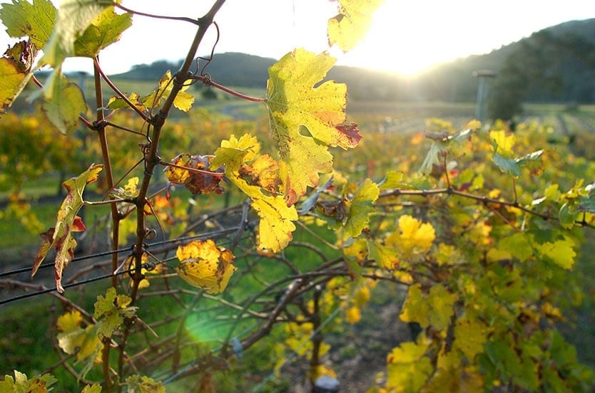 Hunter Investment Prospectus Environmental Property Services